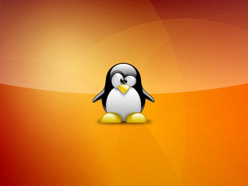animated wallpaper linux. Wallpapers